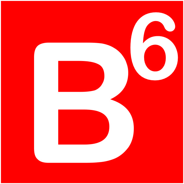 B6 main image